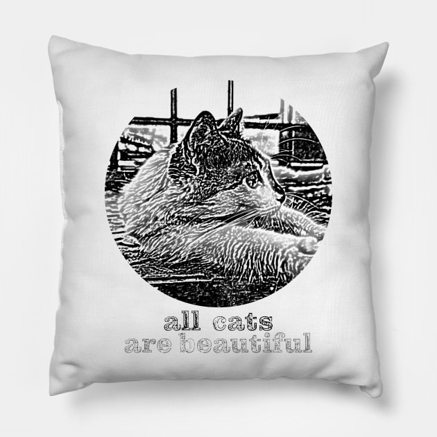 all cats are beautiful Pillow by rickylabellevie