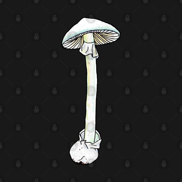 Destroying Angel by ThisIsNotAnImageOfLoss