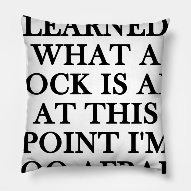 i never learned what a stock is and at this point i'm too afraid to ask Pillow by whirl