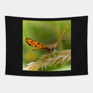 A FLUTTER ON GRASS Tapestry