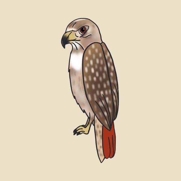 Red Tailed Hawk - Cartoon by eeliseart