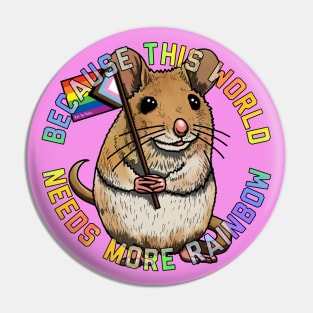 More Rainbow Mouse Pin
