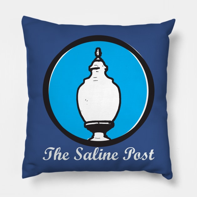 TSP Pillow by thesalinepost20