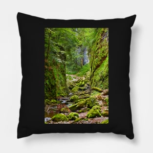 Galbena river in Apuseni mountains Pillow