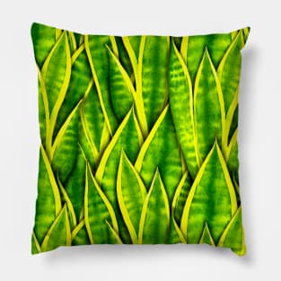 Sansevieria Trifasciata Laurentii Pattern Pillow