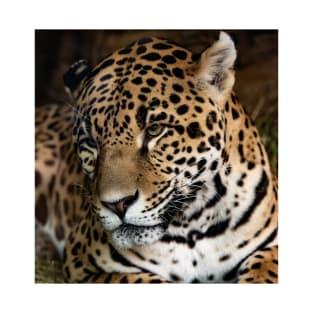 Portrait of Lady Leopard T-Shirt