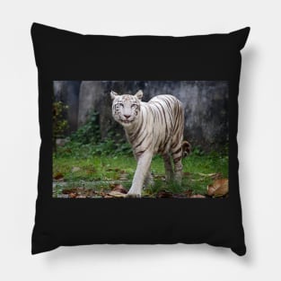 White Bengal Tiger Pillow