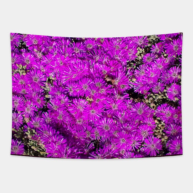 Pink Flower Bed Photography My Tapestry by ShubShank