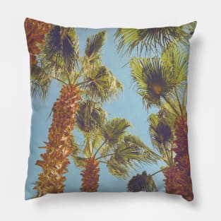 Pretty picture of a Palm Tree. Pretty Palm Trees Photography design with blue sky Pillow