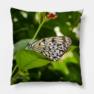 Rice Paper Butterfly Pillow