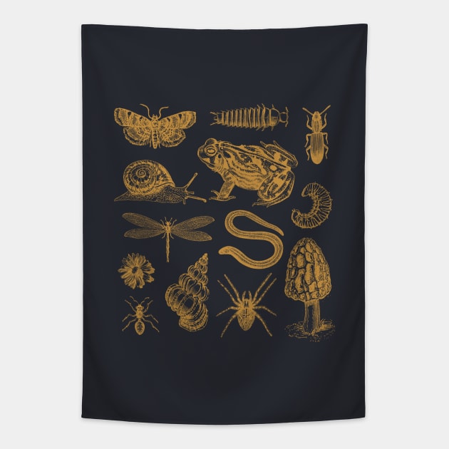 Goblincore Frogs, Snails, Moths, and Mushrooms in a Vintage Biology Aesthetic Tapestry by Ministry Of Frogs