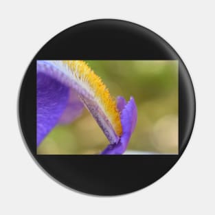 Exquisite iris 2 Pin