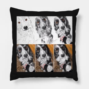 Border Collie - From Sketch to Portrait Pillow