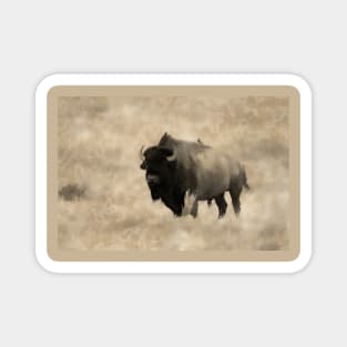 American Buffalo  -  Plains Bison Magnet