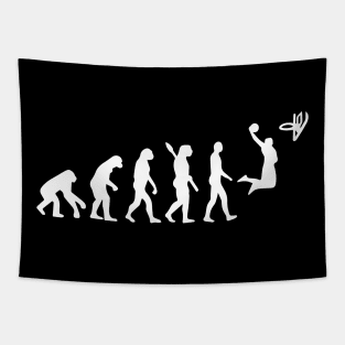 Evolution Basketball gift Sport Tapestry