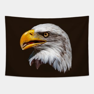 Majestic portrait of a Bald eagle Tapestry