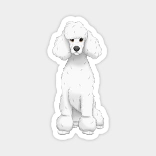 White Standard Poodle Dog Magnet