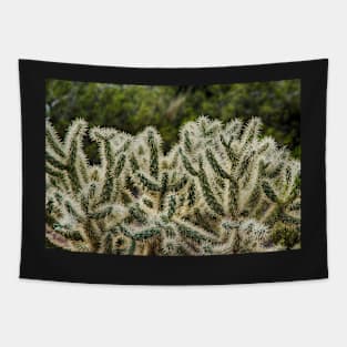 Jumping Cholla Tapestry