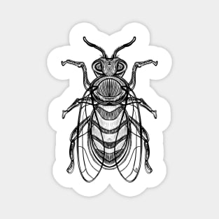 Hand drawn vintage bee Magnet