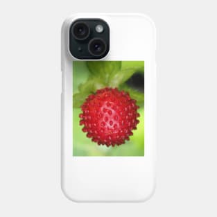 Red berry of Potentilla indica - mock strawberry Phone Case