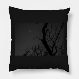 Waning Moon and Tree Silhouettes by Debra Martz Pillow
