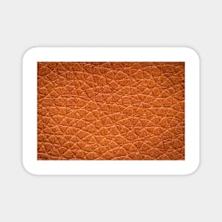 Closeup detail of brown leather texture background. Magnet