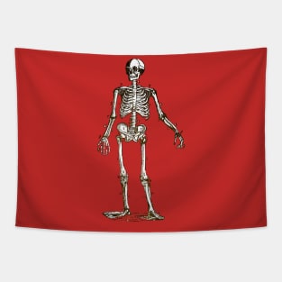 Anatomy Skeleton Tapestry