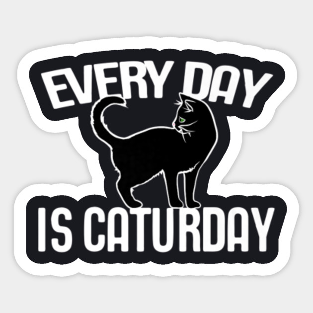 Every Day Is Caturday Black Cat Art Cat People Premium T Shirt