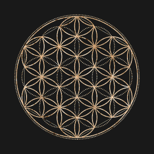 Gold Geometric Glyph Mandala Sigil Rune Sign Seal  -  347 T-Shirt