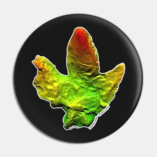 Bellatoripes fredlundi - Tyrannosaur footprint Pin