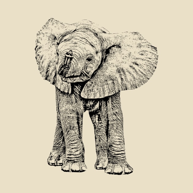 Cute Baby Elephant | African Wildlife by scotch