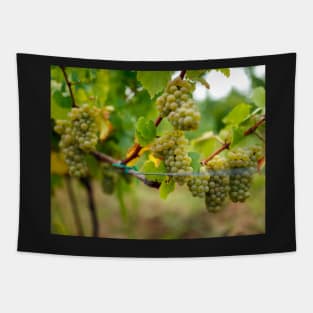 Ripening grapes on the vine Tapestry