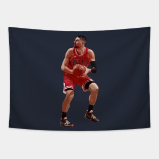 Nikola Vucevic Posting Tapestry