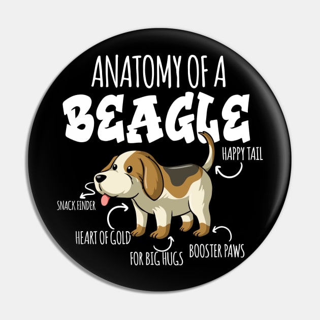 ANATOMY OF A BEAGLE Pin by DogFav