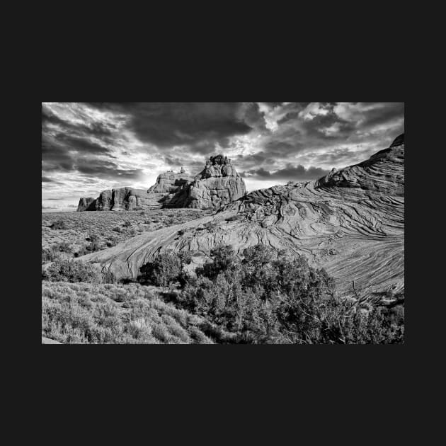 Grayscale Landscape Print by jecphotography