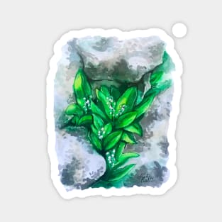 Watercolor Lily of the Valleys Magnet