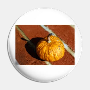 small pumpkin Pin