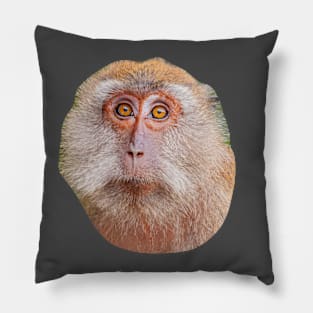 The Look Pillow