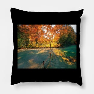 Golden Fall Picture Pillow