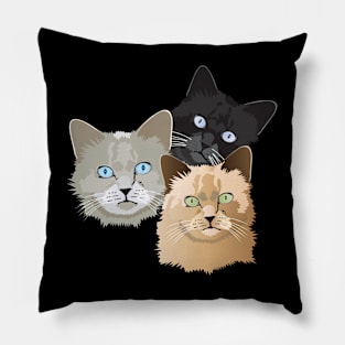 Curious cats Pillow