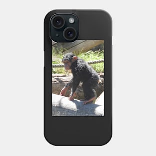 Baby Chimpanzee Phone Case