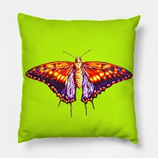 Butterfly Pillow