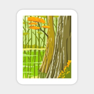 Congaree National Park in Columbia South Carolina United States WPA Poster Art Color Magnet