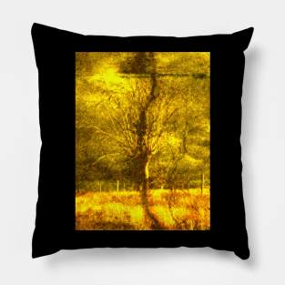 Digital collage, special processing. Tree, bright, fire. Pillow