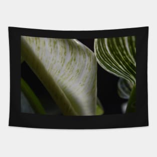 Macro Foliage Leaves Tapestry