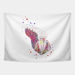 Molar tooth section Tapestry