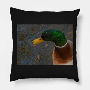 Mallard Drake Pillow