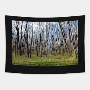 Hornbeam forest Tapestry