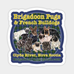 Brigadoon Pugs Magnet