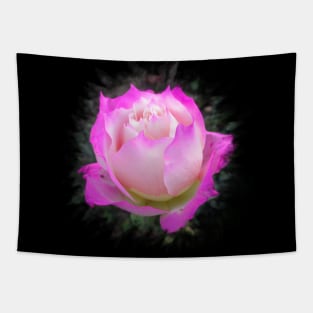 wonderful rose in pink, roses, flower, blossom Tapestry